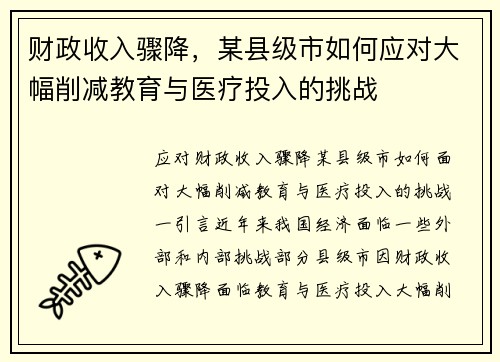 财政收入骤降，某县级市如何应对大幅削减教育与医疗投入的挑战